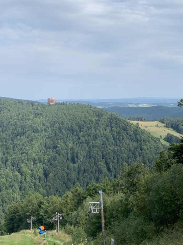 Ścieżka w koronach drzew Krynica Słotwiny