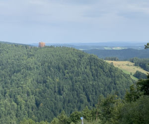 Ścieżka w koronach drzew Krynica Słotwiny