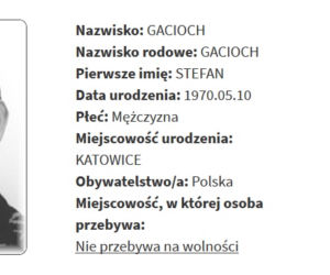 Rejestr Przestępców Seksualnych z województwa śląskiego [ZDJĘCIA]