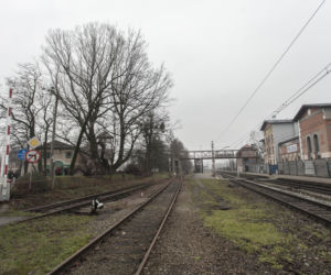 CHCĄ IM WYCIĄĆ DĄB
