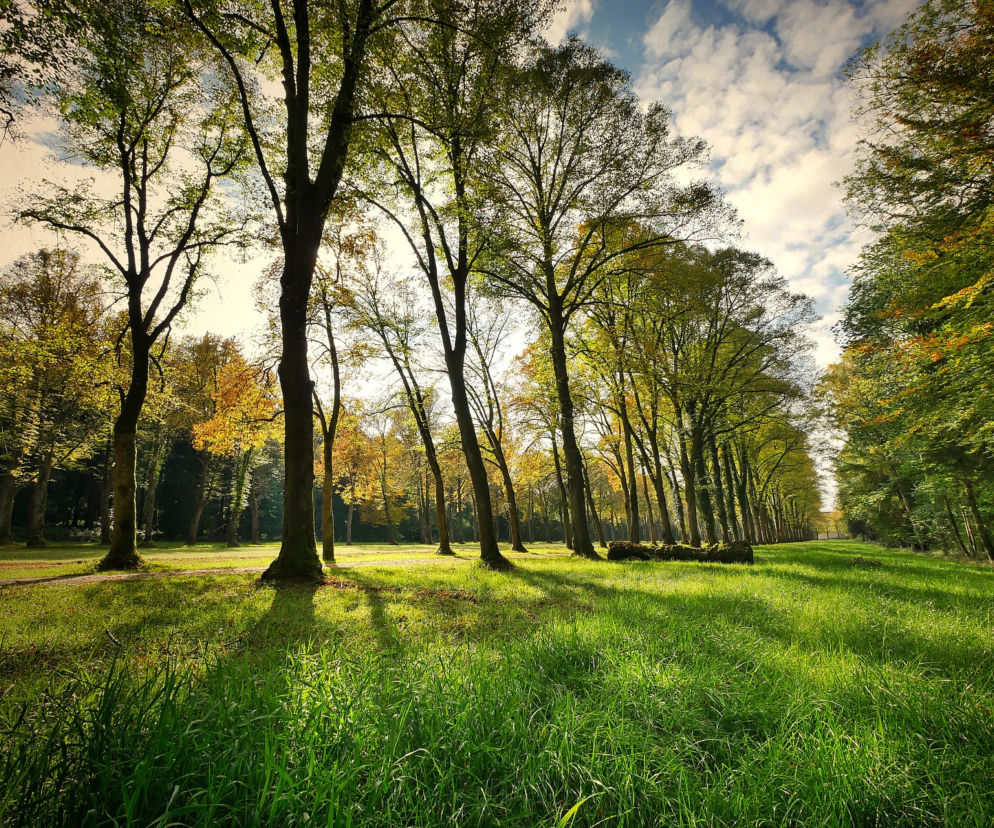 Park Reagana to jeden z najchętniej i najczęściej uczęszczanych terenów zielonych w Gdańsku