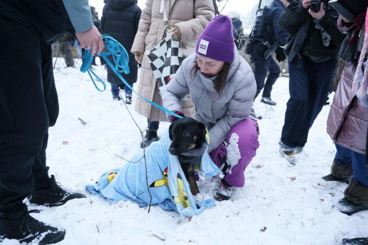„Maszynka do mielenia mięsa i pałki z krwią”. Kulisy zamknięcia schroniska „Happy Dog”. Co dalej?