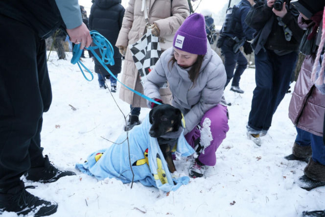 „Maszynka do mielenia mięsa i pałki z krwią”. Kulisy zamknięcia schroniska „Happy Dog”. Co dalej?