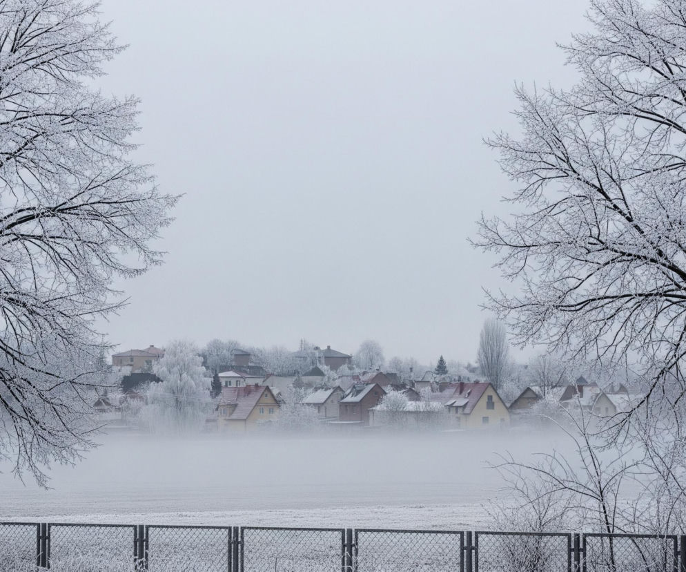Zamarznięte, gołe drzewa z jasnymi, oszronionymi gałęziami dominują po bokach kadru, tworząc naturalną ramę dla krajobrazu. W centrum obrazu, za drucianym płotem pokrytym szronem, rozpościera się szerokie, białe pole, częściowo zasłonięte przez gęstą, niską mgłę. Ponad mgłą i polem, na horyzoncie, widoczna jest osada złożona z wielu domów o różnokolorowych dachach, częściowo przysłoniętych drzewami, również pokrytymi szronem. Całość otacza mgliste, jednolicie jasnoszare niebo.