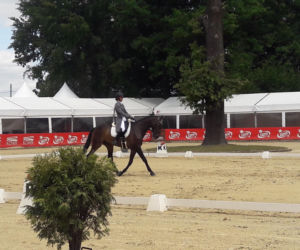 Lotto Strzegom Horse Trials 
