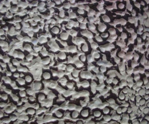Zdjęcie 6359