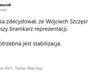Reakcja internautów na powołania Sousy
