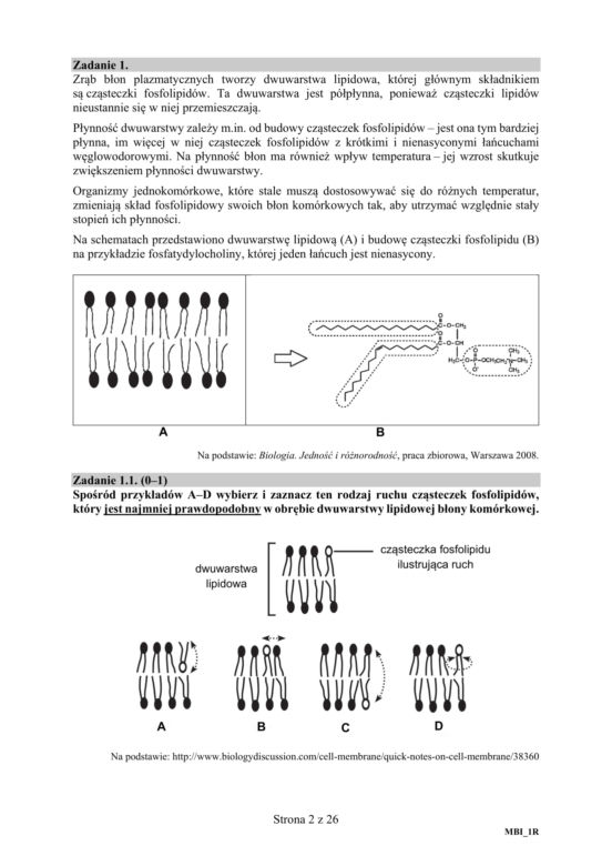 Matura 2020 ARKUSZE CKE z biologii POZIOM ROZSZERZONY 