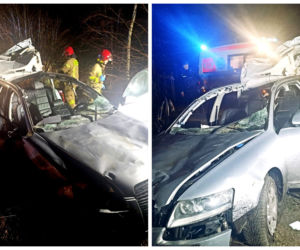 Groźny wypadek w Szymankach. Auto roztrzaskało się po zderzeniu z łosiem [ZDJĘCIA]