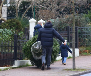 Premier Donald Tusk ma gest? Kupił dwie choinki i odmówił reszty