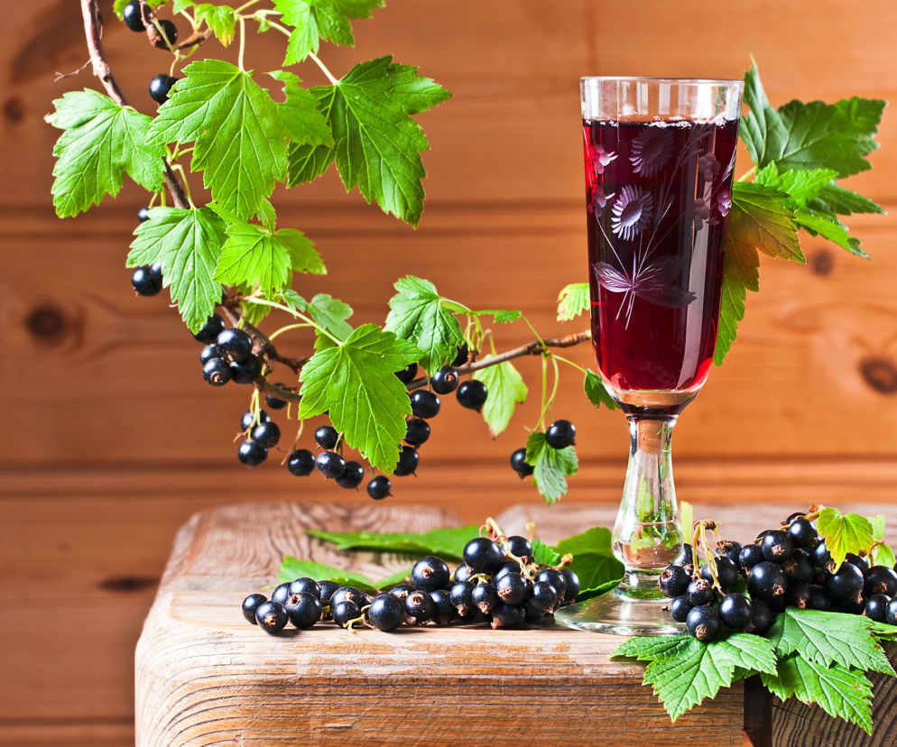 Nalewka korznna z czarnej porzeczki: sprawdzony przepis
