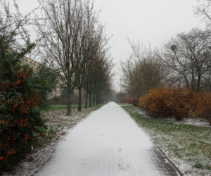 Spadł pierwszy śnieg! Zobacz jak wyglądają ulice Poznania