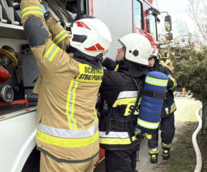 Potężny pożar pod Jaworem. Auta płonęły, dwie osoby ranne po próbie walki z żywiołem