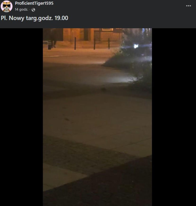 „Obrzydlistwo!” Nagrali to w samym centrum Wrocławia. Mieszkańcy przerażeni tym, co biega po ulicach