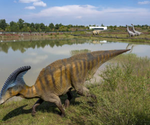 JuraPark Krasiejów