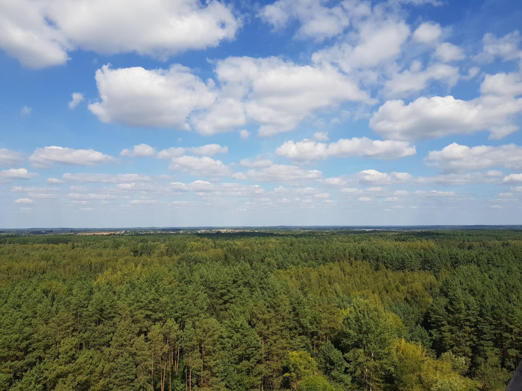 Wieża widokowa w Uhowie. To najwyższa wieża na Podlasiu [ZDJĘCIA]