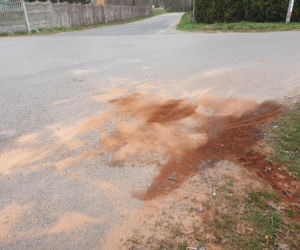 Organista zginął w drodze do kościoła