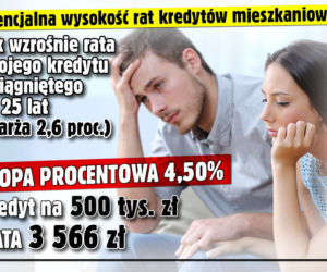 Raty kredytów