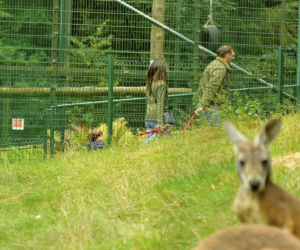 Marta Kaczyńska z mężem i synem w ZOO