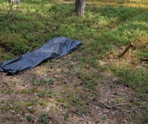 Tragedia podczas wycinki drzew. Olbrzymi konar zmiażdżył Pawła w lesie