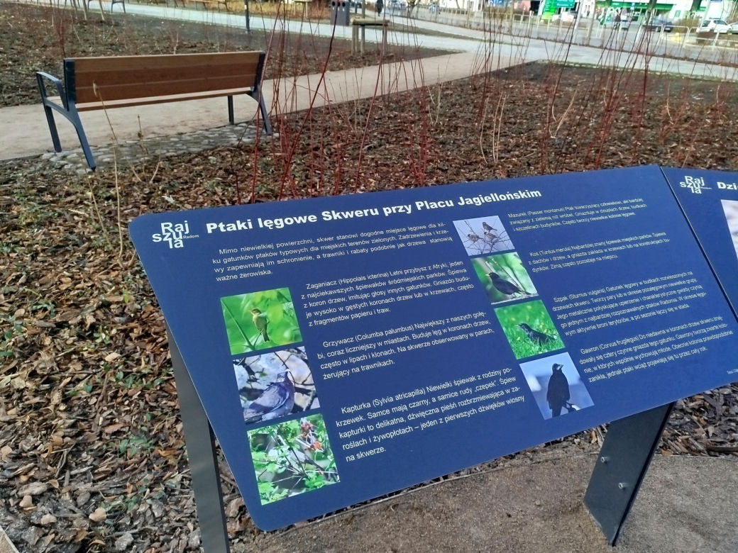 Plac Jagielloński