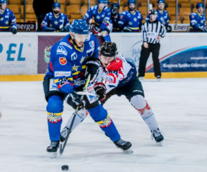 KH Energa Toruń - Podhale Nowy Targ 3:2 - zdjęcia z meczu