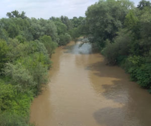Sytuacja hydrologiczna w Tarnowie. Czy grozi nam powódź?
