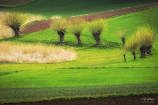 Ponidzie to jeden z najlepszych kierunków na majówkę w Świętokrzyskiem