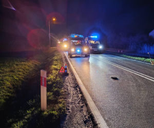 Osobowe Audi potrąciło mężczyznę. Śmiertelny wypadek na DK73 w Brniu