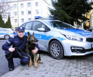 Funkcjonariusze na czterech łapach zaczynają służbę! Poznajcie Naba i Barego [ZDJĘCIA]