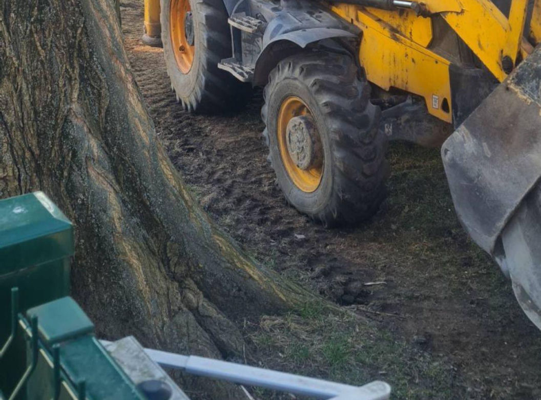 Ciężki sprzęt rozjeżdżał Bydgoskie Drzewo Roku. Społecznicy interweniują
