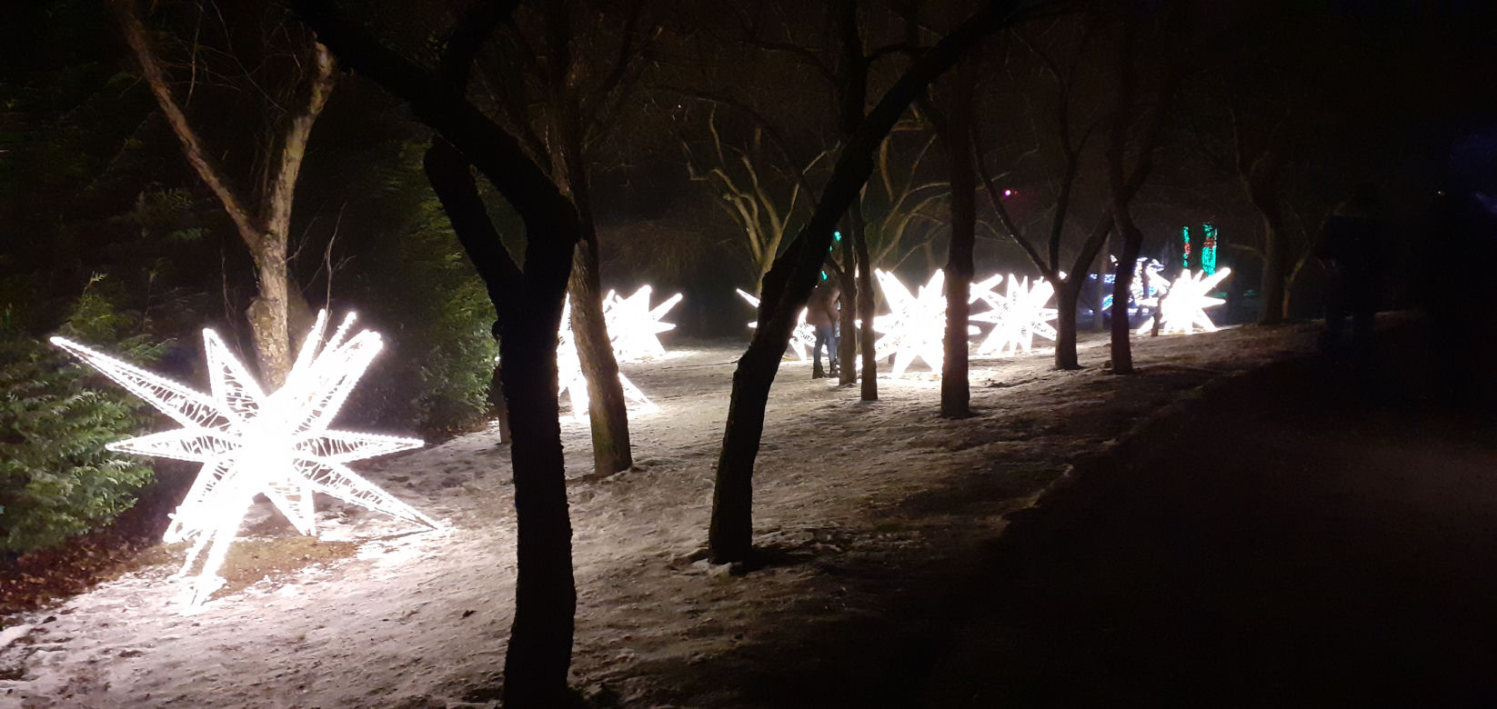Lumina Park w Ogrodzie Botanicznym UMCS w Lublinie