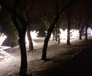 Lumina Park w Ogrodzie Botanicznym UMCS w Lublinie