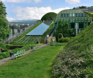 Ogrody na dachu Biblioteki Uniwersytetu Warszawskiego udostępniono w 2002 roku