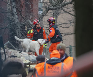 Polskie wsparcie dla syryjskich ratowników. Tak powstaje pierwsza jednostka K9 