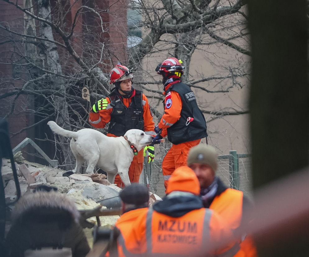 Dwaj strażacy z labradorem na gruzowisku. O szkoleniu jednostek K9 w Syrii przeczytasz na Mediateka.