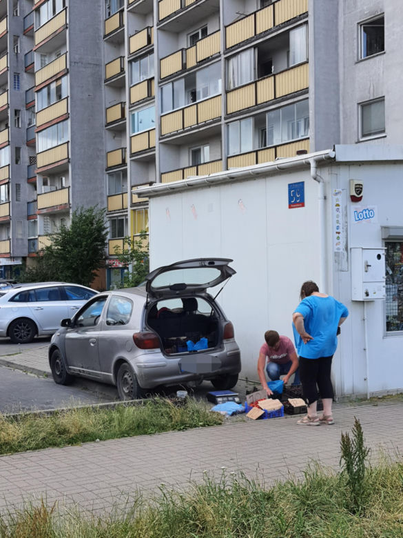 Jatka na warszawskim bazarze. Pobili mnie bo sprzedawałem czereśnie