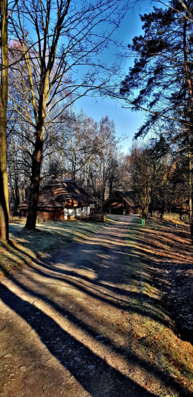 Bieg "Tropem Wilczym" ku chwale Żołnierzy Wyklętych