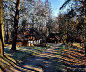 Bieg Tropem Wilczym ku chwale Żołnierzy Wyklętych