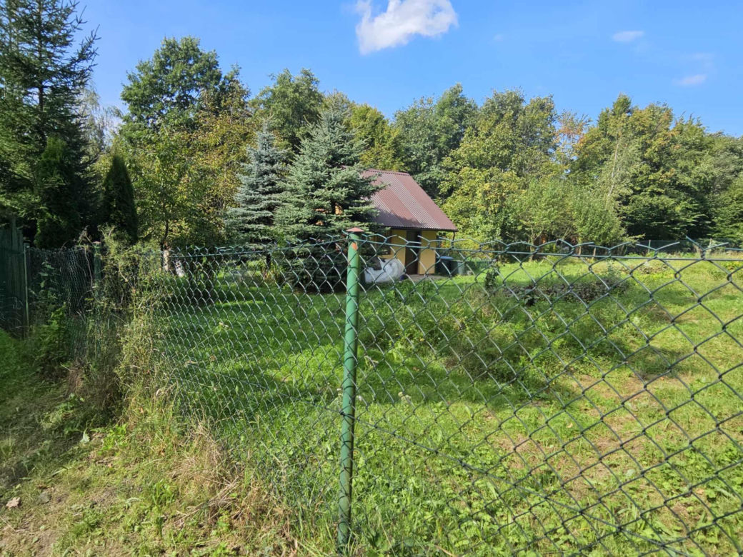 Zabójstwo w Malawie [GALERIA]