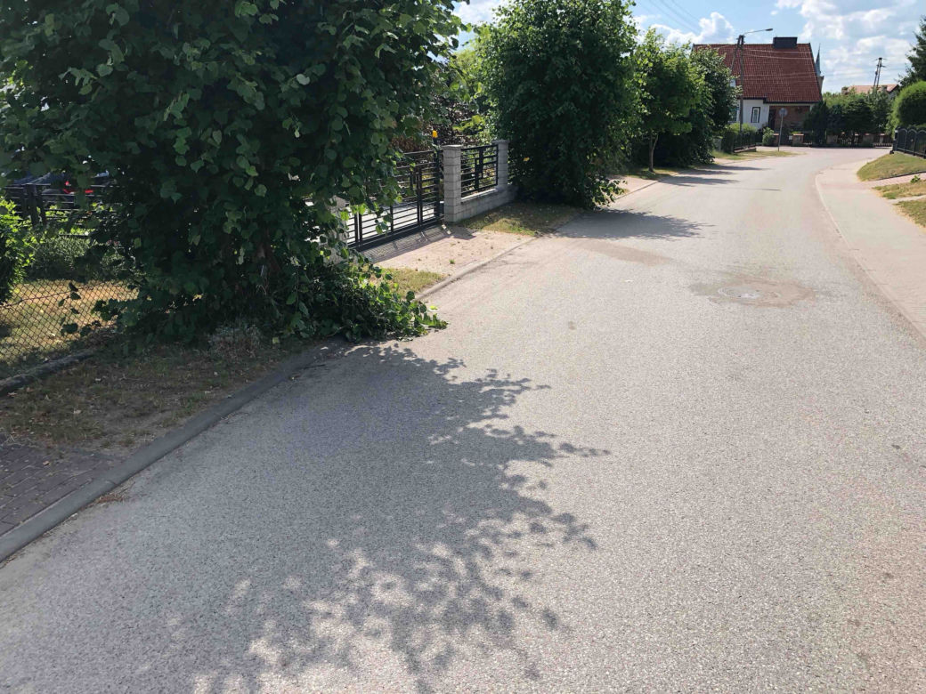 Ten trzmiel mógł ją zabić! Od tragicznej śmierci było o włos