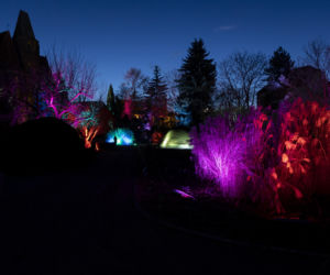 Bajkowe iluminacje w Ogrodzie Botanicznym we Wrocławiu