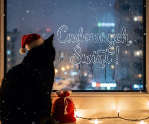 Kartki bożonarodzeniowe