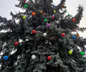 Choinka miejska Siedlce