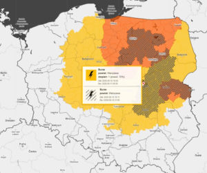 Gwałtowna burza nad Warszawą. Drzewa wyrwane z korzeniami w 5 minut!