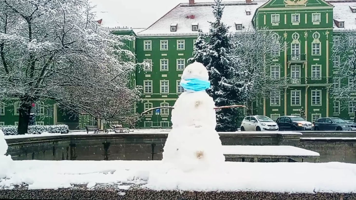 Pierwszy śnieg w Szczecinie