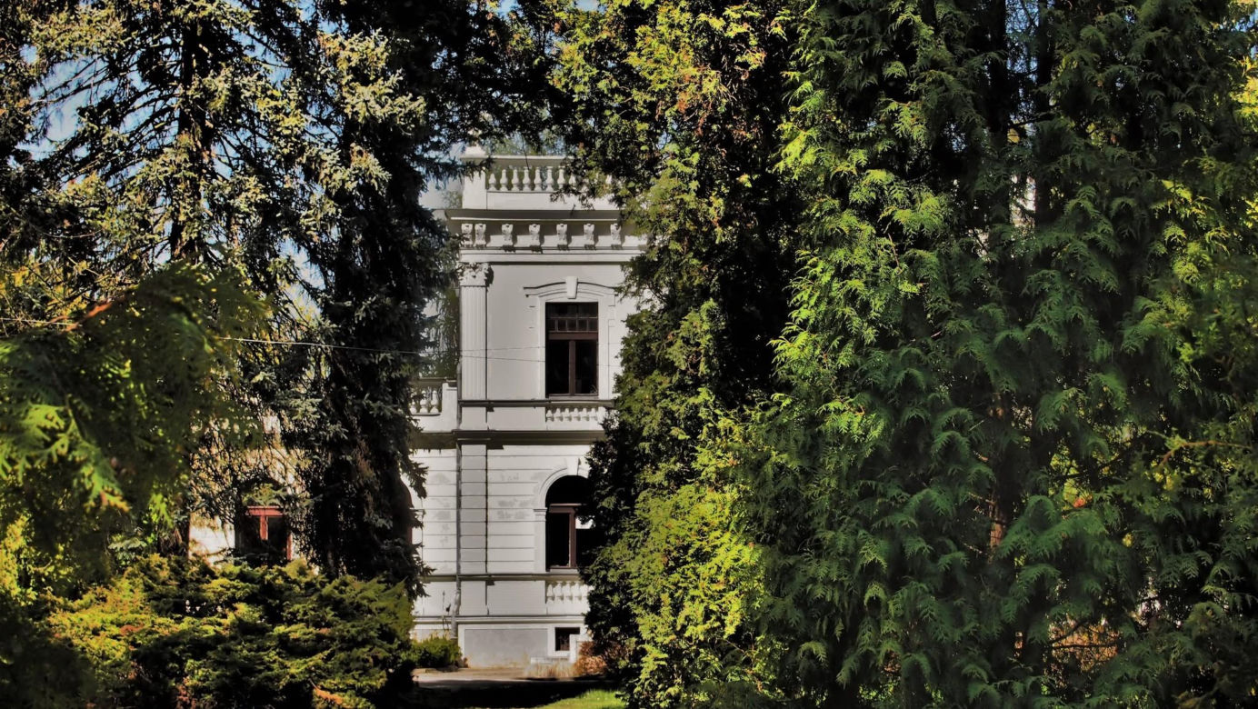 Pałac hrabiego Trojanowskiego