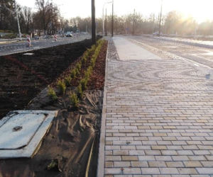 Plac Rapackiego w Toruniu przeszedł metamorfozę. Tak wygląda w nowej wersji!