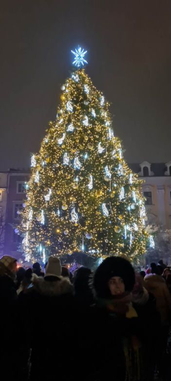 Choinka na Rynku Głównym w Krakowie