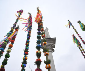 35 metrów i 80 centymetrów liczy palma, która zwyciężyła tegoroczny konkurs palm w Lipnicy Murowanej